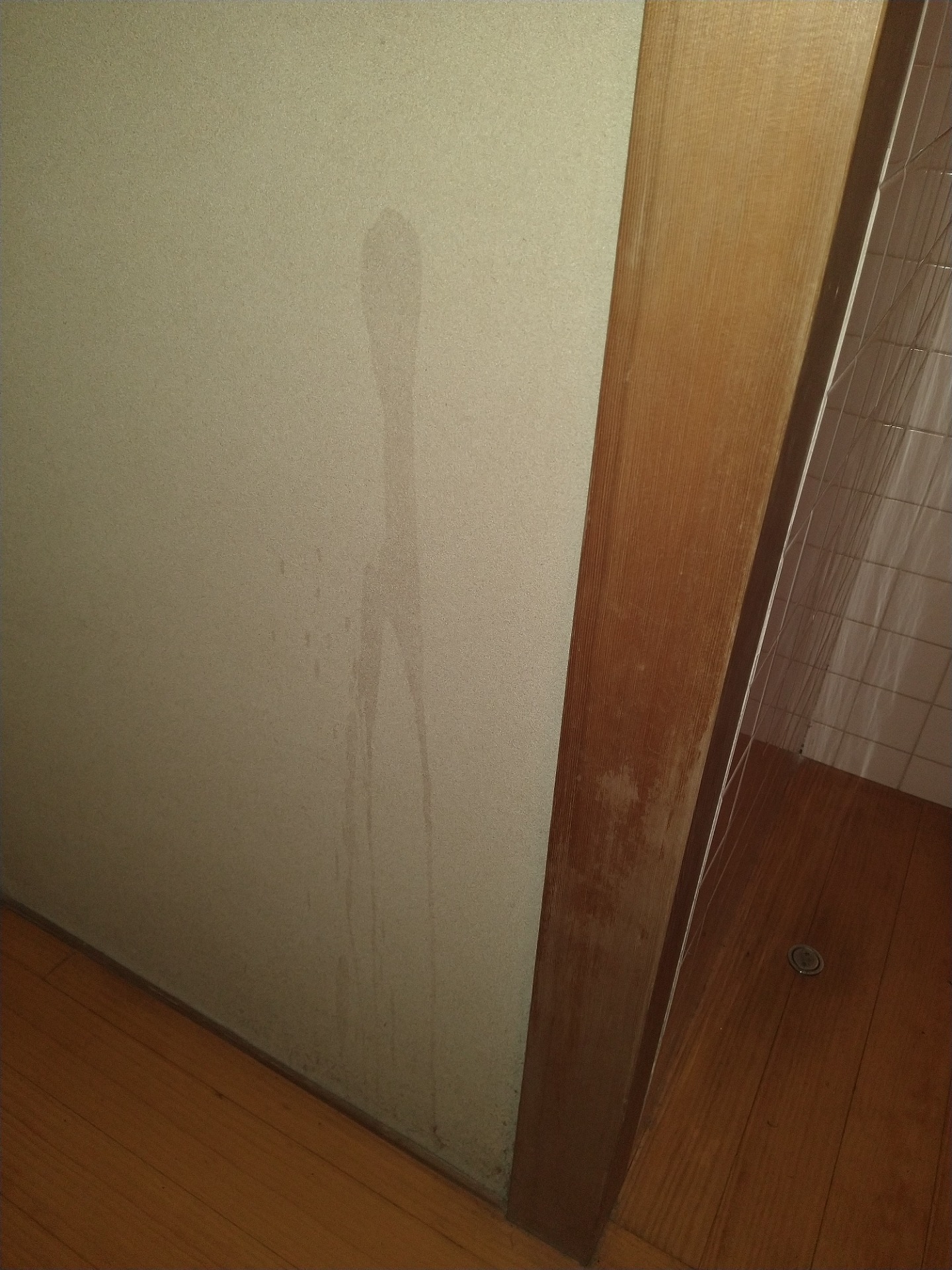 壁シミ付着状態